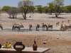 Andersson's Camp - Waterhole